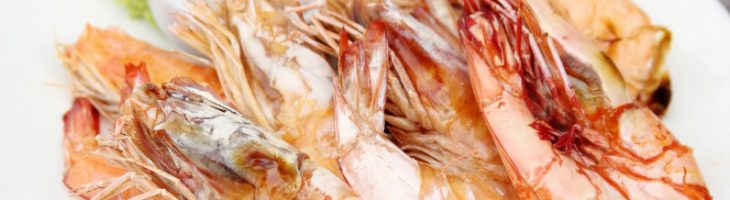 scampi_provencial